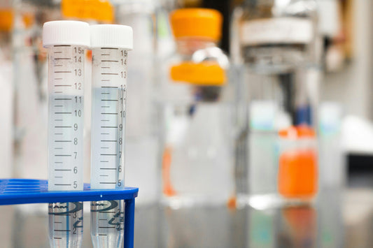 PFAS: The “Forever Chemicals” Lurking in Your Home