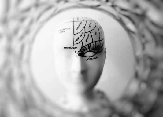 How To Balance Your Brain For A Better Life