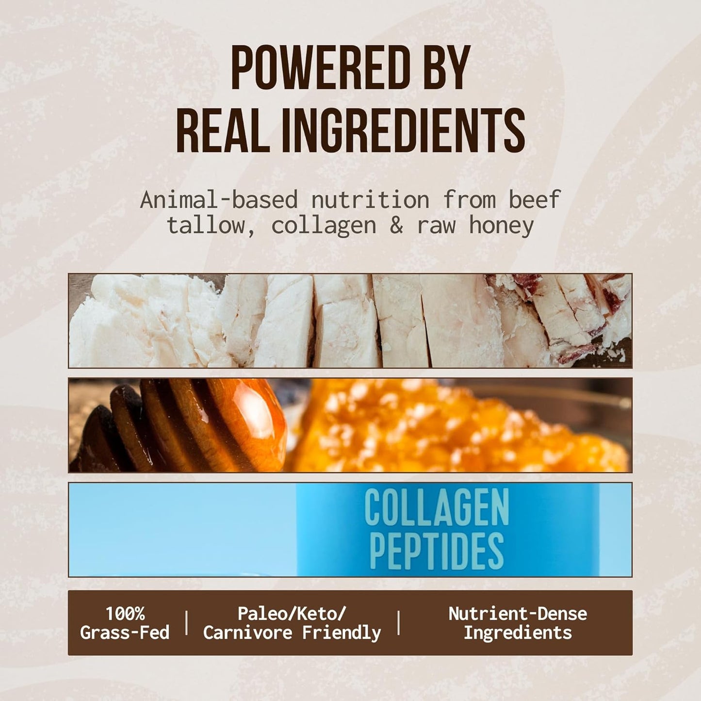 Grass Fed Protein Bars, 7 Pack – Animal-Based Protein Bar with Beef Tallow, Raw Honey, Seed Oil Free, Low Carb, Gluten-Free – Healthy, Energy Snacks for Clean Lifestyle (7 Pack, Variety Pack)