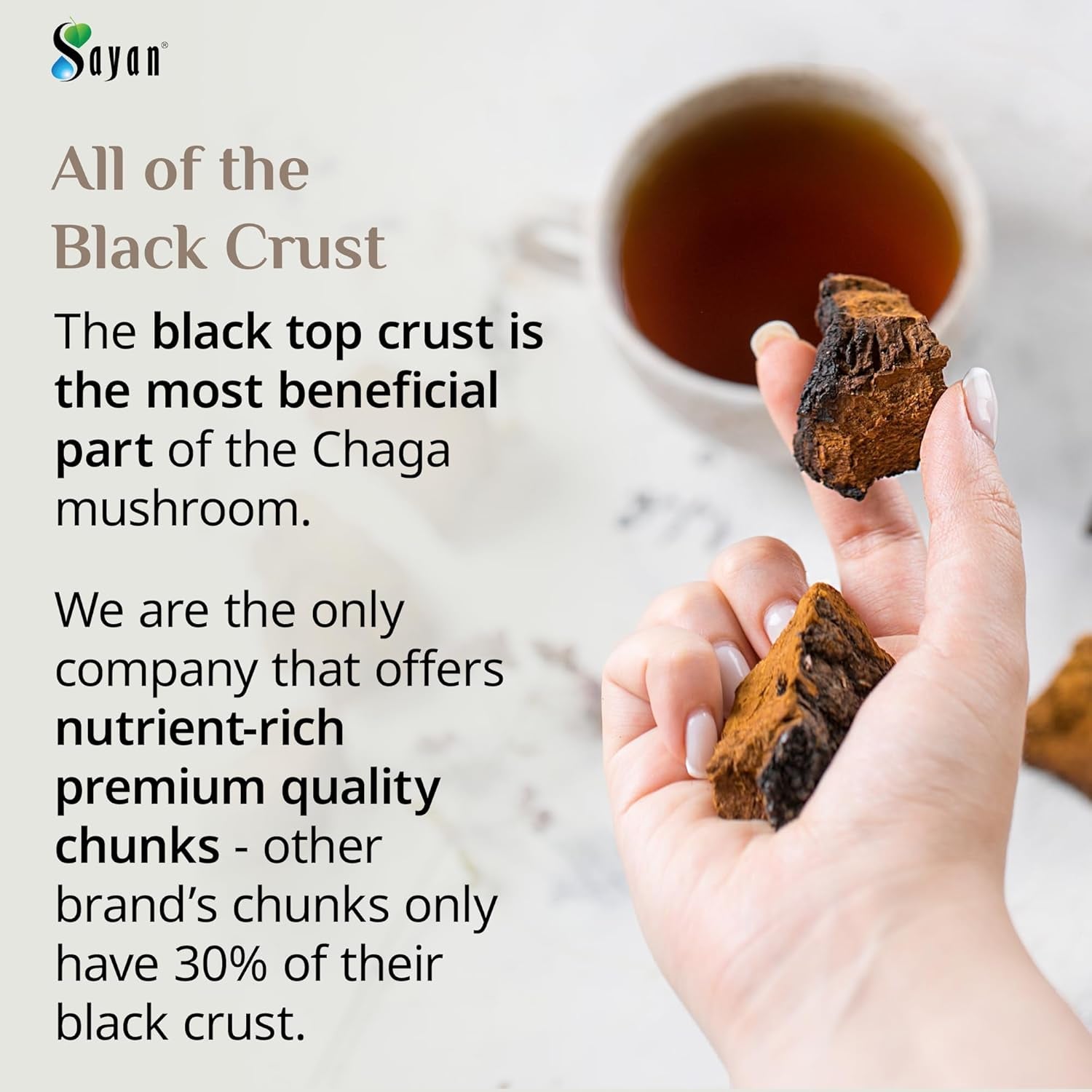 Siberian Pure Raw Chaga Mushroom Chunks with Black Top Crust 8 Oz / 223 G – Premium Wild-Harvested Antioxidant Tea for Immune Support, Focus and Digestive Health - Non-Gmo