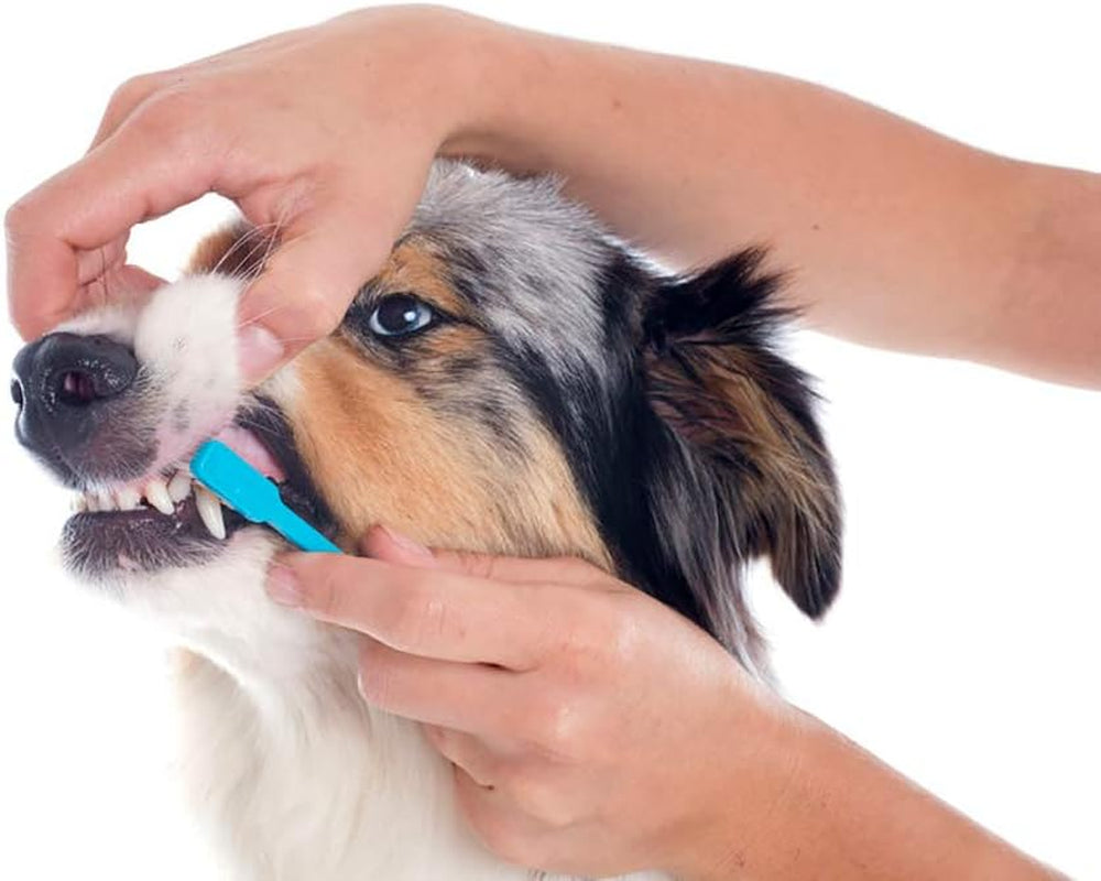 , Food Grade Hydrogen Peroxide, 8 + 32 Fl Oz, Natural Cleaner, 3%, 1 - 8 Fl Oz Spray and 1 - 32 Fl Oz Bottle, Refill, HP (Pack of 2)