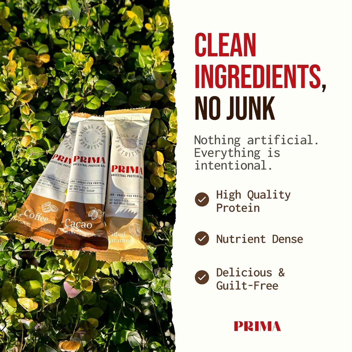 Grass Fed Protein Bars, 7 Pack – Animal-Based Protein Bar with Beef Tallow, Raw Honey, Seed Oil Free, Low Carb, Gluten-Free – Healthy, Energy Snacks for Clean Lifestyle (7 Pack, Variety Pack)