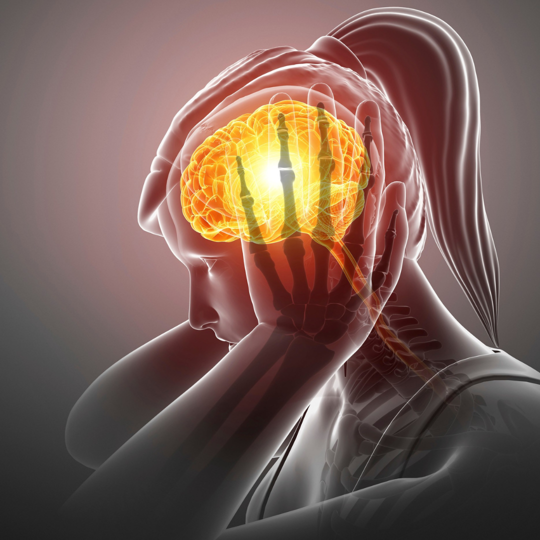 How Stress Changes Your Biology — and What You Can Do About It Naturally