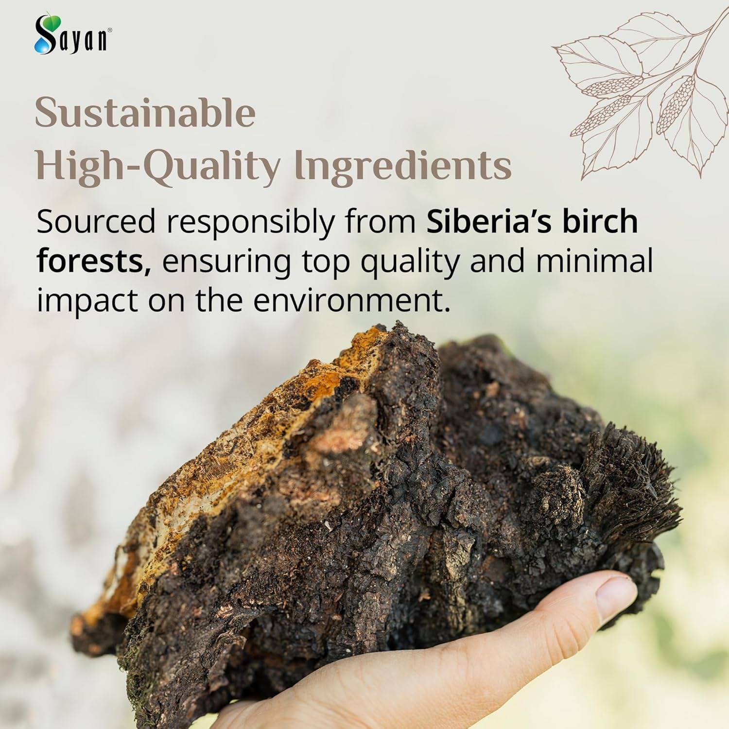 Siberian Pure Raw Chaga Mushroom Chunks with Black Top Crust 8 Oz / 223 G – Premium Wild-Harvested Antioxidant Tea for Immune Support, Focus and Digestive Health - Non-Gmo